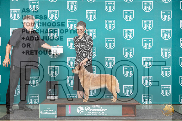 Australian Cattle Dog #112 Thur SemiF Judge Sharon Griffin__JP_1116_Premier_2024_HR3