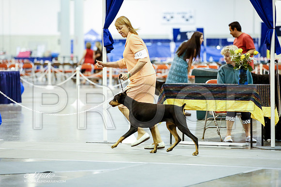 _JJ_9349-HstnJul2014-HR3