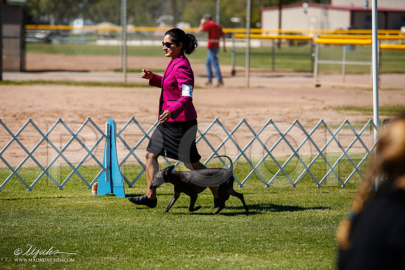 _JJ_8579-AlamogordoOct2014-HR3