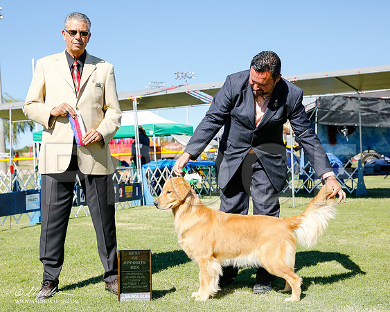 _CL_0372-2-AlamogordoOct2014-HR3