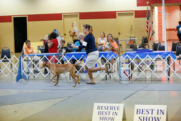 _JJ_0837-AmarilloSept2014-HR3