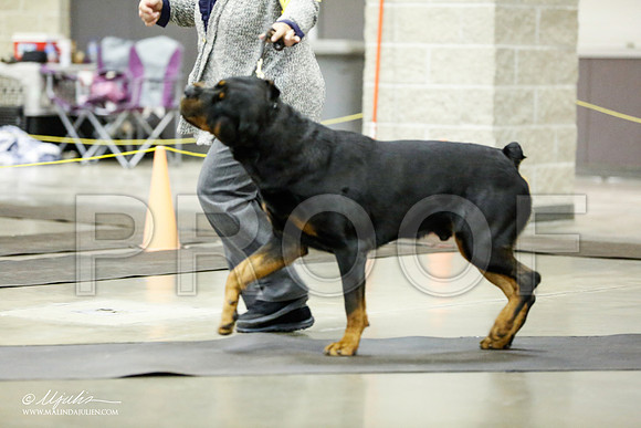 _RH_1764-BeltonJan2015IABCA-HR3