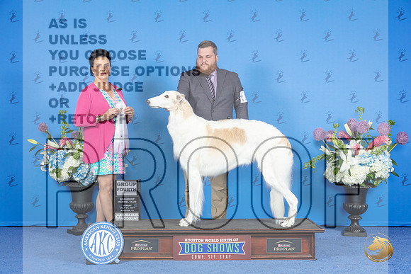 Borzoi #24 SUN G4 Judge Debbie Freeman__JP_0672_Houston_2024_HR3