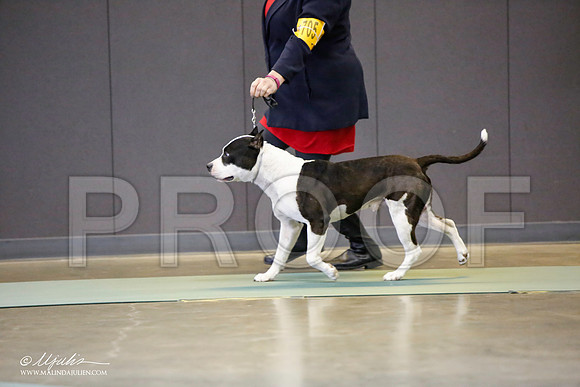 _LH_3505-BeltonJan2015-HR3