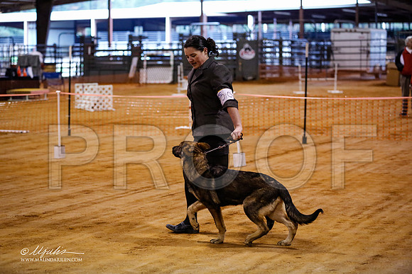 BISpup-3574-MrshllDec13-HR