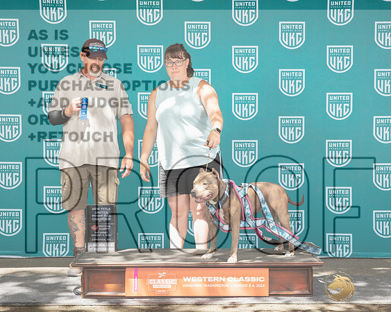 American Bully #124 Sun NC Judge Cody Larum_JP_1898e_UKCLongviewWA_2024-HR3