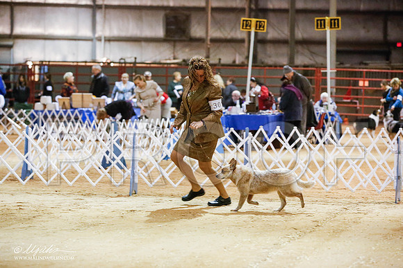 _JN_4133-2-GlenRoseJan2015-HR3