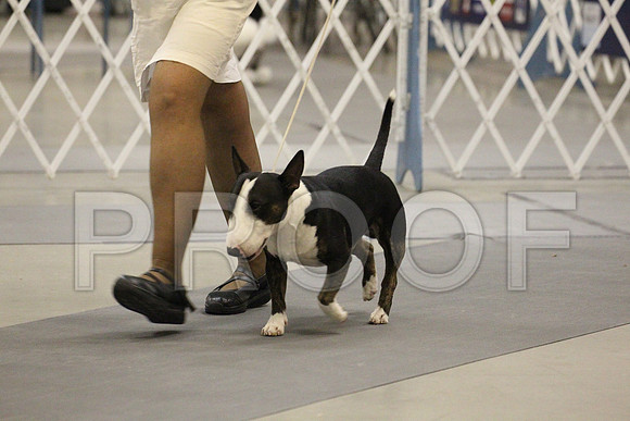 MJS_2634