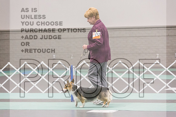 Pembroke Welsh Corgi Rings Fri Ring 1_JJL_6138_UKCLNGVIEWOCT2024_2024_HR3