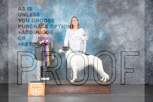 Silken Windhound #158 Fri RBIS Judge Tracey Kallas__JP_1119_UKCLNGVIEWOCT2024_2024_HR3
