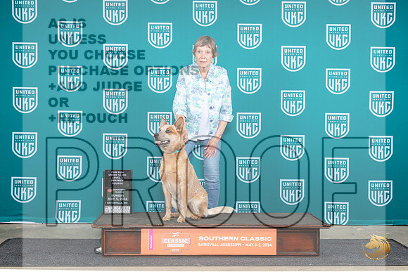 Australian Cattle Dog Sarah Anderson__JP_6740_BatesvilleMS_2024_HR3