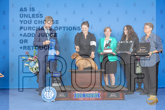 Norfolk Terrier #9 FRI G1 Judge Wood Wornall__JP_9464_Houston_2024_HR3