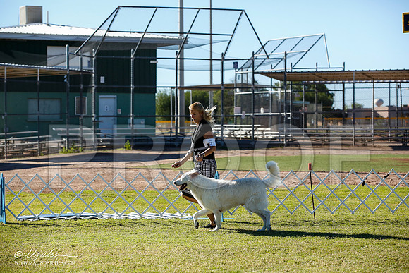 _JN_7770-AlamogordoOct2014-HR3