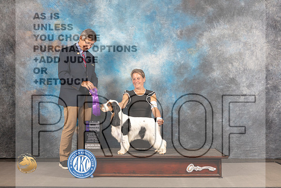 English Cocker Spaniel #16 WED WB Major Judge Richard Powell_MJ_2252_Houston_2022_HR3