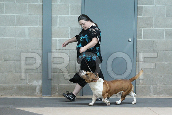 BassetCCL_3203LR