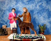 Doberman Pinscher #68 Sat BOB +A1