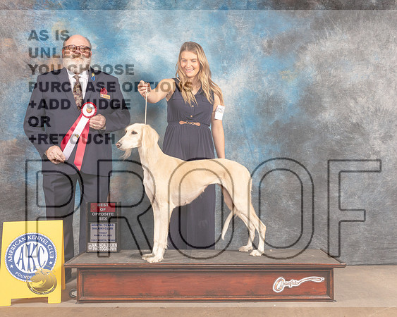 Saluki #26 Fri BOS Judge Bryan Martin-MMJ_7030-FW2022-HR3