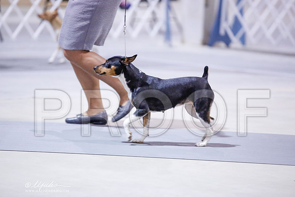 _JN_8461-SAJul2014-HR3