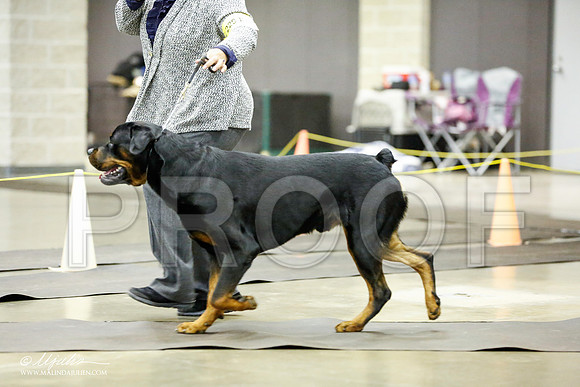 _RH_1766-BeltonJan2015IABCA-HR3