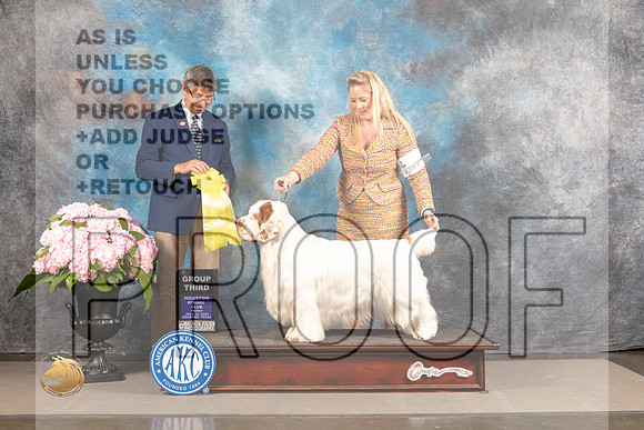 Clumber Spaniel #? FRI G3 Judge Richard Powell_MJ_6026_Houston_2022_HR3