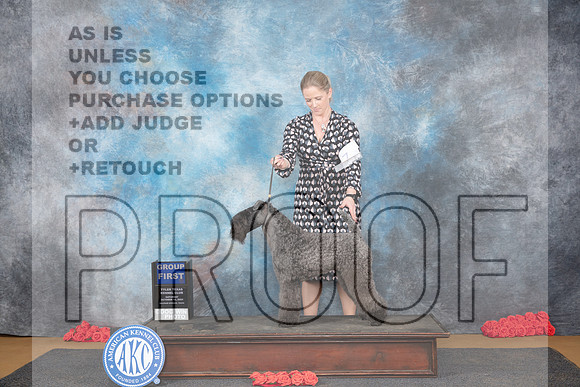 Kerry Blue Terrier #7 Sat G1 Judge Pat Trotter__JP_0339_Sulphur Springs_2024_HR3