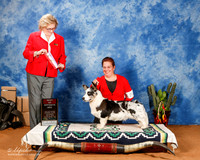 Corgi Cardigan #17 Sat BOS
