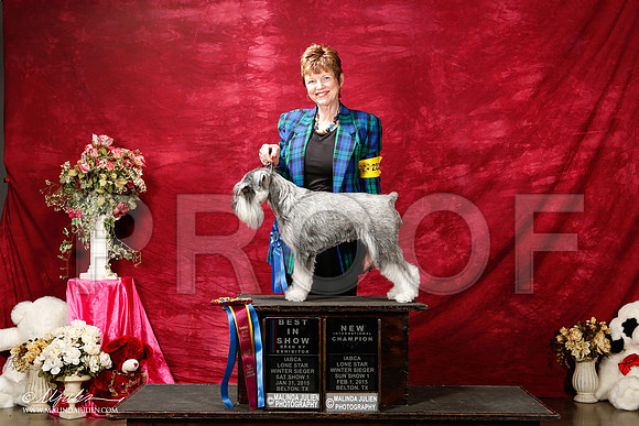 IMG_0108-BeltonJan2015IABCA-HR3