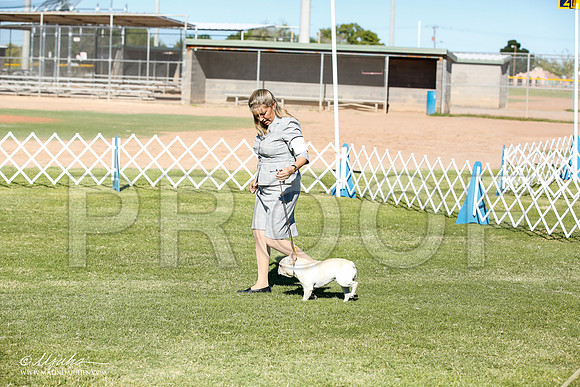 _JN_8454-AlamogordoOct2014-HR3