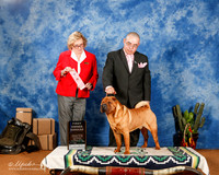 Chinese Shar Pei #5 Sat OHG1 +A1