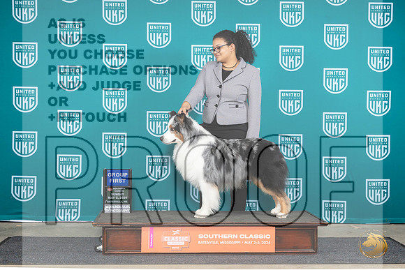Australian Shepherd #196 Sun G1 Judge Sarah Anderson__JP_6663_BatesvilleMS_2024_HR3