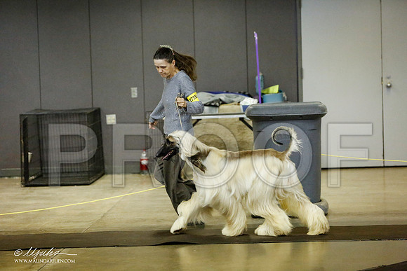 _RH_1256-BeltonJan2015IABCA-HR3
