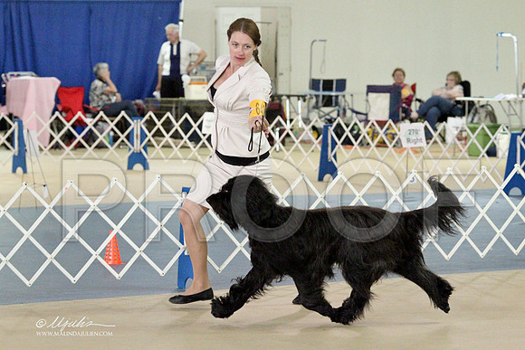 Briard-2837LR