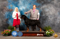 Rottweiler #9 Sun G2 Judge Jan Paulk