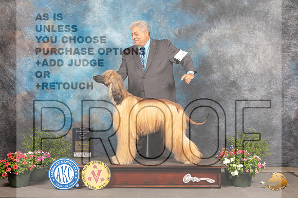 Afghan Hound #14 WBCh Judge Debra Thornton_MJ_0002_SA_2022_HR3