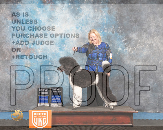 Poodle Std #160 Sat1 G3 Judge Tracey Kallas_MMJ_6287_Addison2022_HR3