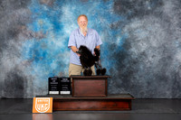 Poodle Mini #162 Fri BOWCH Judge Tracey Kallas