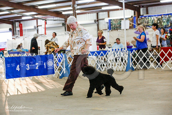 _JJ_4799-AlamogordoOct2014-HR3