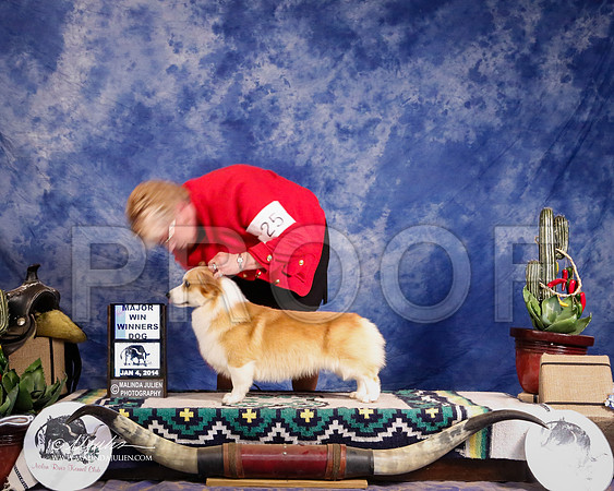 CorgPW-1712-GRJan14-HR