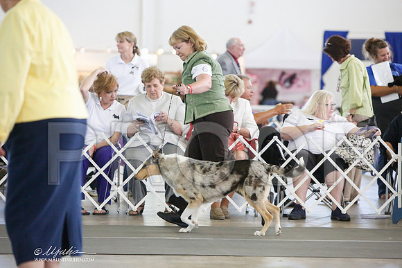 _JJ_0796-DallasJul2014-HR3