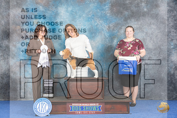 Beagle 15 #6 WED G4 Judge Barbara Scherer__JP_7218_Houston_2024_HR3