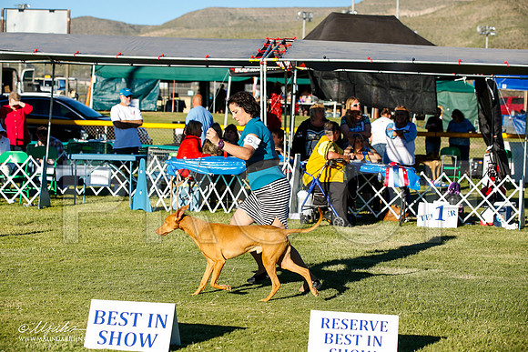 _JN_0127-AlamogordoOct2014-HR3