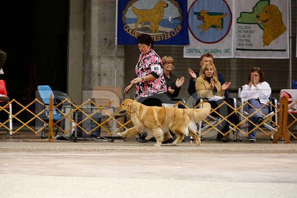 BestVet-7179-WFOct2013-HR