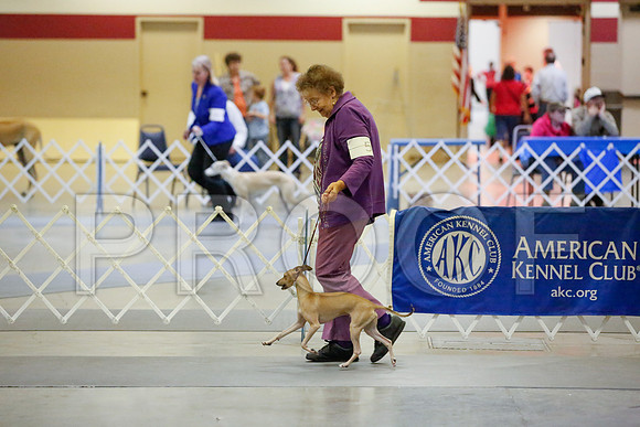 _JJ_8436-AmarilloSept2014-HR3
