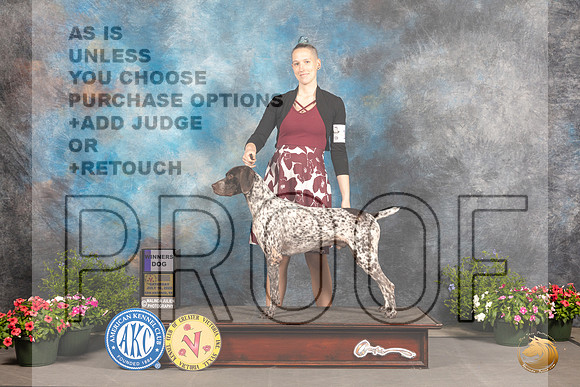 German Shorthaired Pointer #19 Sat WD Judge Donna O'Connell_MJ_0061_SA_2022_HR3