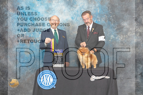 Pomeranian #19 Sun BOB Judge Tim Robbins_MJ_0415_HstnTOY_2022_HR3