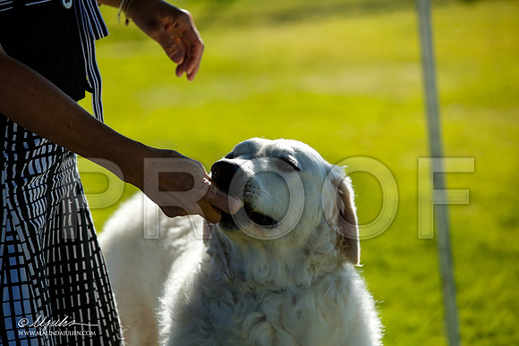 _JN_7775-AlamogordoOct2014-HR3