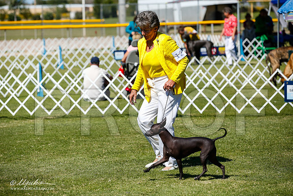 _JJ_8400-AlamogordoOct2014-HR3