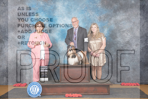 Shih Tzu #5 Sun G4 Judge Nikki Riggsbee__JP_0908_Sulphur Springs_2024_HR3