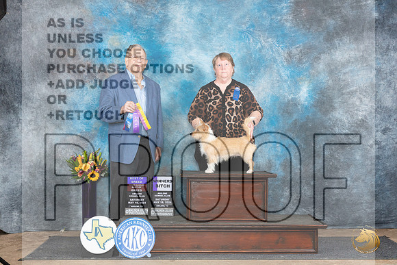Portuguese Podego Pequeno #6 Sat WBBOBOHBOB Judge Donald Gill__JP_0015_Abilene_2024_HR3