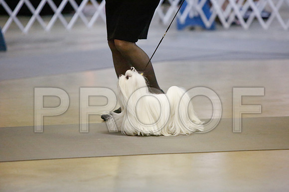 _JJ_2643-AmarilloSept2014-HR3